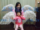 天使羽毛~天使之翼~翅膀~羽翼